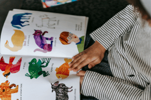 Visual Storytelling Training Course in Hungary